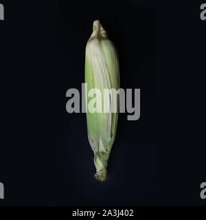 Kreative Gestaltung von frischem organischen Süßmais aus der Farm, die auf schwarzen Hintergrund mit Schatten zu isolieren. Ansicht von oben. Flach. Essen Konzept. Makro anhand von quantitativen Simulatio Stockfoto