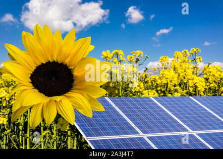 Solarenergie Windenergie in der Sonne mit Vergewaltigungen Stockfoto