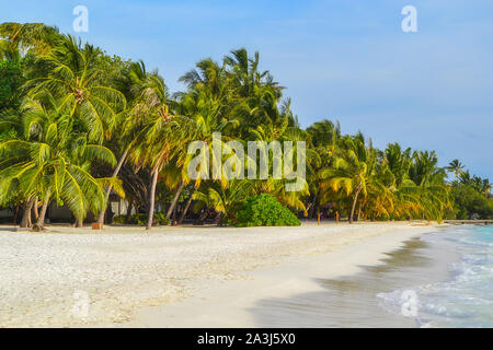 Weißer Sand tropischen Strand mit Palmen während sonniger Tag im Tropical Resort Stockfoto