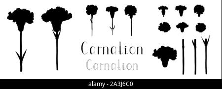 Vector Illustration. Großer Satz von Hand gezeichnet florale Elemente auf weißem Hintergrund. Silhouetten von Carnation Blüten. Clip Art für Ihr Design. Uhr Stock Vektor