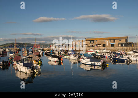 Lyme Regis Hafen und der Cobb in frühen Abend Sommer Sonnenschein, Lyme Regis, Dorset, Großbritannien. Stockfoto