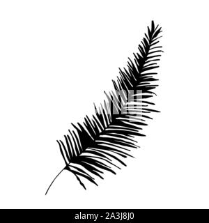 Palm Tree Laub silhouette Vector Illustration. Exotische immergrüne Zweig schwarzes Symbol. Nadelwald Flora. Exotischen Pflanze leafage, Farn auf weißem Hintergrund. Botanik poster Design Element Stock Vektor