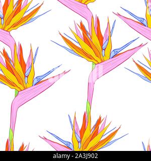 Strelitzia reginae oder Bird of paradise Blumen. Vektor farbige nahtlose Muster für Stoff Textil Design. Stock Vektor