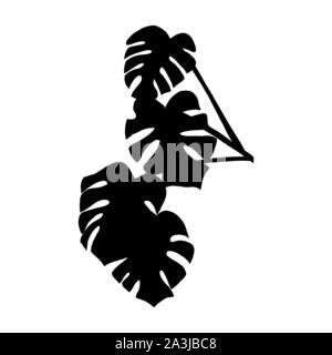 Monstera Blätter silhouette Vector Illustration. Tropischen Regenwald Laub. Exotische immergrüne flora Zweig auf weißem Hintergrund. Monochrome botanischen Poster, Banner Design Element Stock Vektor