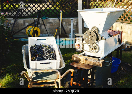 Automatische Abbeermaschine crusher Machine. Small Business Konzept. Weinherstellung. Hausgemachten Wein. Stockfoto