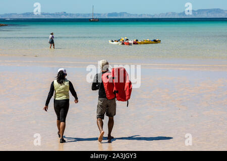 Touristen last Kajaks in einer Bucht aus Isla Espíritu Santo im Golf von Kalifornien vor der Küste von La Paz auf der Halbinsel Baja California, Mexiko. Stockfoto