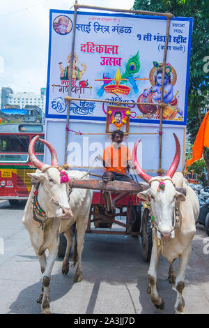 Indischer Mann nimmt am Janmashtami Festival in Mumbai Indien Teil Stockfoto