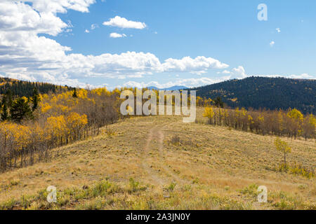 Alte Schmutz der Straße schlängelt sich durch einen bunten Herbst Wald von Golden Aspen Bäume in der Kolorado Berge Stockfoto