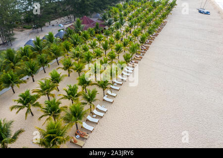 Eindrucksvolle Luftaufnahme von Palm Tree plantation am Strand Stockfoto