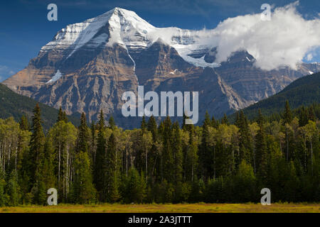 Mount Robson Blick vom Besucherzentrum in Mount Robson Provincial Park Stockfoto