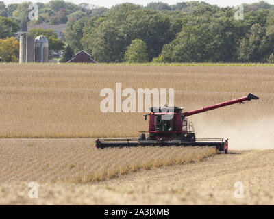 Sioux Center, Iowa, USA. 8. Oktober, 2019. Ein Landwirt beginnt seine Soja-ernte im Sioux County, in der Nähe von Sioux Center, Iowa befindet. Ein lokaler Landwirt sagte Er hat 1.100 Morgen zu verbinden und die tarifliche Situation mit China jeden Tag gemacht hat, eine Achterbahn. Darüber hinaus ist eine Wettervorhersage prognostiziert, Regen und Schneegestöber sind für Northwest Iowa dieses Freitag, Oktober 11, den Landwirten ein weiteres Zurück zur diesjährigen Ernte eingestellt beschäftigen konnten. Quelle: Jerry Mennenga/ZUMA Draht/Alamy leben Nachrichten Stockfoto