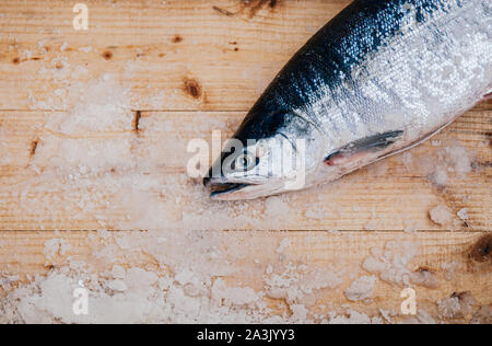 Ganze frische rohe Japanische Lachs mit Eis auf Holzplatte Ansicht von oben mit der Kopie. Roher Fisch in Asaichi Morgen Markt, Hakodate - Hokkaido Stockfoto