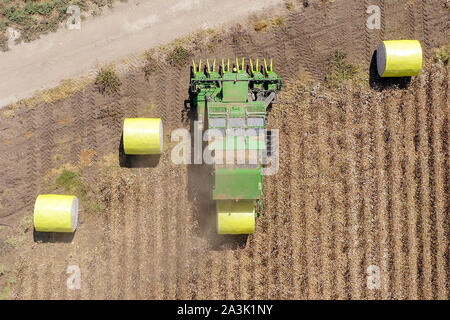 Top down Luftaufnahmen eines großen Baumwollpflückers, der ein Feld erntet. Stockfoto