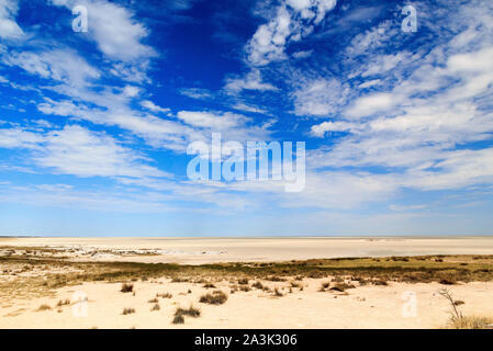 Die riesigen Salzpfanne des Etosha National Park, Namibia, Afrika Stockfoto