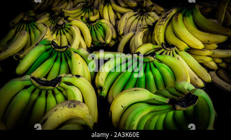 Schöne Darstellung von Clustern von schön gefärbte gelbe Bananen zu einem frischen lokalen Markt in Costa Rica Stockfoto