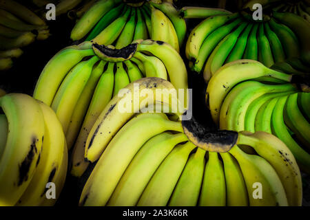 Schöne Darstellung von Clustern von schön gefärbte gelbe Bananen zu einem frischen lokalen Markt in Costa Rica Stockfoto