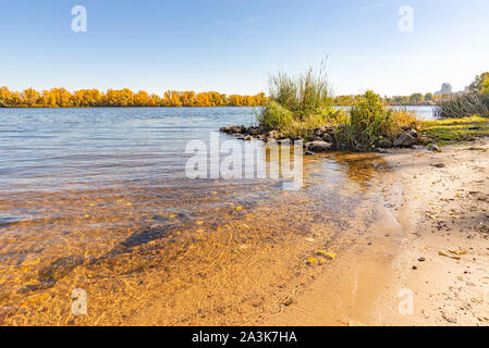 Blick auf Weiden und Schilf in der Nähe von dem Fluss Dnepr in Kiew im Herbst. Die Küste ist mit Sand bedeckt. Das transparente Wasser können Sie die pe zu sehen Stockfoto