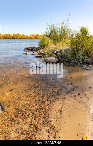 Blick auf Weiden und Schilf in der Nähe von dem Fluss Dnepr in Kiew im Herbst. Die Küste ist mit Sand bedeckt. Das transparente Wasser können Sie die pe zu sehen Stockfoto