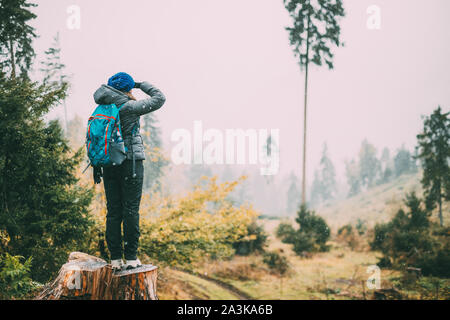 Junge Frau steht auf Baumstumpf im Wald und in die Ferne schauen in die Entwaldung Zone. Ansicht von hinten. Der erste Schnee fällt. Stockfoto