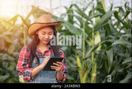 Asiatische Frauen Agrarwissenschaftler und Einsatz von Technologie für die Kontrolle in den landwirtschaftlichen Maisfeld Landwirt Stockfoto