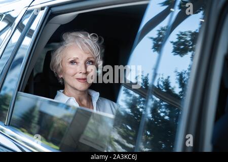 Weibliche Unternehmer office Reisen in ein luxuriöses Auto sitzt auf dem Rücksitz. Senior Geschäftsfrau im Auto. Stockfoto