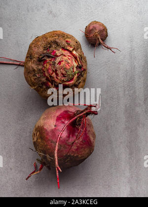 Frisch geerntete Rote Bete, homegrown organic Rüben auf konkreten Hintergrund Stockfoto