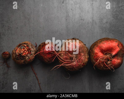 Rüben, rote Beete Bündel auf grauem Stein Hintergrund. Kopieren Sie Platz. Ansicht von oben. Anti-krebs-Diät Stockfoto