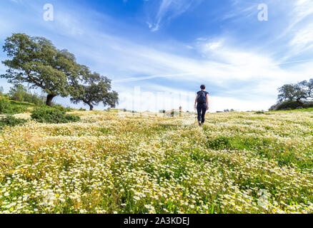 Reisen Frau mit Rucksack wandern in blumigen Feld. Blauer Himmel und sonniger Frühlingstag, Ansicht von hinten. Freiheit Konzept Hintergrund. Stockfoto