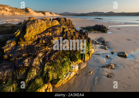 Felsen mit Algen und Flechten auf fünf Finger Strang, Trawbreaga Bay und Dunaff Kopf von Soldaten Hill, Halbinsel Inishowen, Co Donegal, Irland Stockfoto