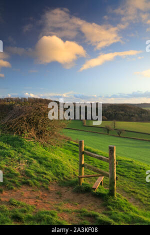 Frühjahr; ein Stil auf Vartennen Hill, milborne Port, Somerset, England, Großbritannien Stockfoto