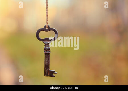 Einem alten Schlüssel hängt an einem Ast, vor dem Hintergrund einer Forststraße. Unscharfer Hintergrund, Platz für Text. Stockfoto