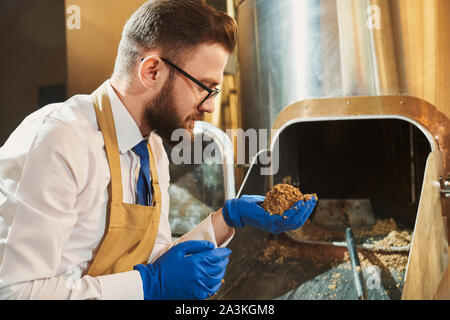 Stattliche Brauerei Arbeiter in Gläsern und Gummi Blau Handschuhe Holding gefräst Malz Körner. Brauerei Experte im weißen Hemd und braune Schürze Überwachung und Kontrolle der Brauerei. Stockfoto