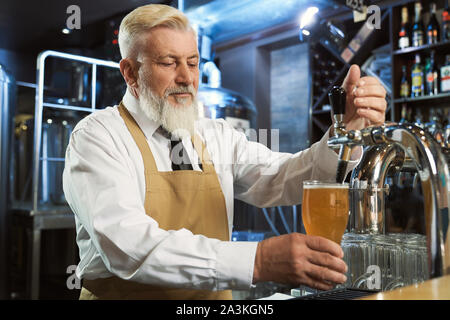 Gut aussehender, bärtiger, ältere Barkeeper stehen am Tresen. Barkeeper in weißem Hemd, Krawatte, braun Schürze im kalten Glas Lagerbier ausgießen. Stockfoto