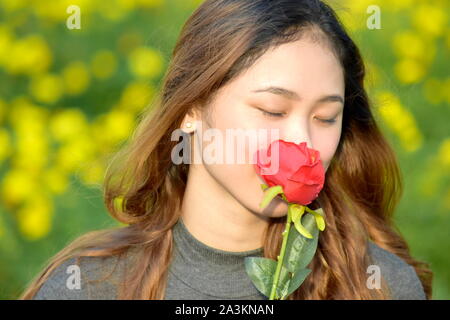 Junge Frau riecht eine Rose Stockfoto