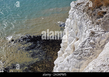 Die weißen Klippen von Dover, Teil der North Downs Formation, ist der Name der Region der englischen Küste mit Blick auf die Straße von Dover. Stockfoto