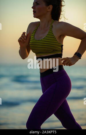 Nahaufnahme auf gesunden Sport Frau in Sport Kleidung auf das Meer bei Sonnenuntergang. Stockfoto