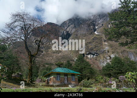 Haus am Yumthang Tal, Lachung, Sikkim, Indien Rest Stockfoto