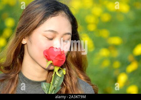 Junge Frau riecht eine Rose Stockfoto