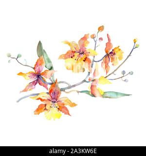 Orange orchid Bouquet blumig botanischen Blumen. Aquarell Hintergrund gesetzt. Isolierte Blumensträuße Abbildung Element. Stockfoto