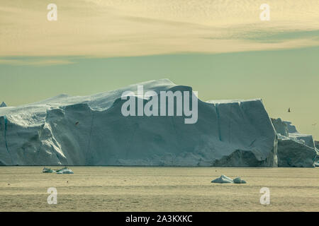 Eisberge in der Disco Bay (Grönland) auf einem hellen Sommertag Stockfoto