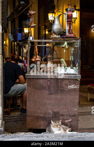 Istanbul: Kiosk mit Samowar für die Tee- und eine Katze innerhalb der Cicek Pasaji, die Blume Passage, eine historische Galerie auf der Istiklal Caddesi, berühmten Avenue Stockfoto