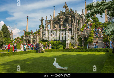 STRESA, Verbania, Italien - Juni 2, 2018: die Menschen besuchen Park Garten der Insel Bella oder Isola Bella, eine der Borromäischen Inseln des Lago Maggiore i Stockfoto