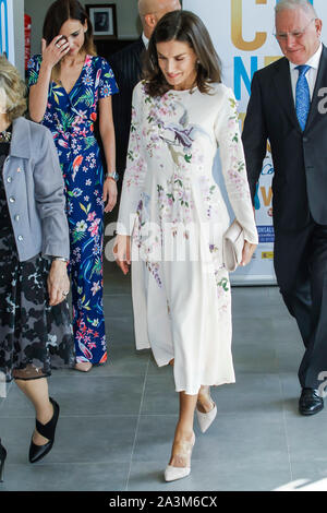 Madrid, Spanien. 09 Okt, 2019. Queen Letizia besucht die Welt der psychischen Gesundheit Tag im La Latina Theater in Madrid, Spanien am 9. Oktober 2019. Oktober 09, 2019. Credit: Jimmy Olsen/Medien Punch *** Keine Spanien***/Alamy leben Nachrichten Stockfoto