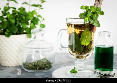 Beruhigenden Tee mit frisch und frischer Minze und Mint Sirup. Ein warmes Getränk für den Herbst und Winter. Das Konzept der Pflege des emotionalen Zustand. Stockfoto