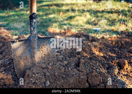 Alt Spaten oder Schaufel klemmt in frisch gegraben Erde mit Kopie der Platz in einem Konzept der Gärtnerei und Gartenbau Stockfoto