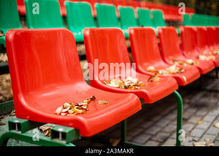 Leer Sport Tribüne im Laub im Herbst. Gelbe Blätter liegen auf einem Sitz einer Tribüne. Kunststoff erforderlich Sitze sind mit Baum Laub im Herbst fallen. Stockfoto