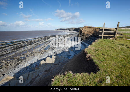 Kilve Strand. Somerset. UK. Abwechselnden Schichten von Kalkstein und Schiefer diese inter-tidal Regale und die Rillen in den Klippen zu erstellen. Stockfoto