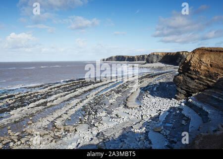 Kilve Strand. Somerset. UK. Abwechselnden Schichten von Kalkstein und Schiefer diese inter-tidal Regale und die Rillen in den Klippen zu erstellen. Stockfoto