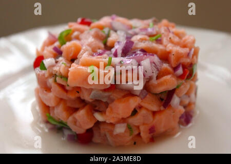 Lachs Fisch ceviche kochen servieren in einem Ring schließen bis auf weiße Platte Hintergrund. Selektive Weichzeichner. Traditionelle peruanische Küche Teller Konzept Stockfoto