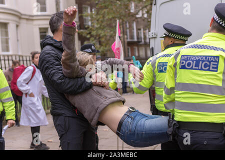 Westminster, London, Großbritannien. Oktober 2019. Eine weibliche Aktivistin der Extinction Rebellion wird während des Protestcamps der International Rebellion im Oktober 2019 auf dem Birdcage Walk in London von Polizisten der Metropolitan Police verhaftet und mitgenommen. Die Demonstration zum Klimaschutz zeigte Zelte, Banner und längere Besetzung in der Nähe von Regierungsgebäuden. Die Aktivistin ist friedlich und gewaltfrei, da sie von der Anlage entfernt wird, weil sie dringende umweltpolitische Reformen fordert. Penelope Barritt/Alamy Live News Stockfoto